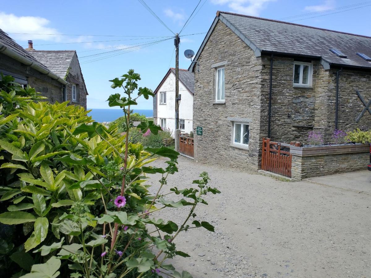 Vila The Mill Tintagel Exteriér fotografie