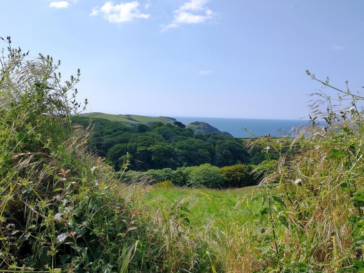 Vila The Mill Tintagel Exteriér fotografie